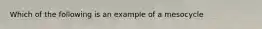 Which of the following is an example of a mesocycle