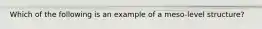 Which of the following is an example of a meso-level structure?