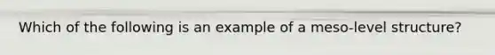 Which of the following is an example of a meso-level structure?