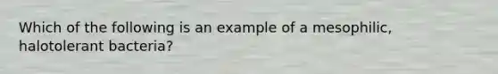 Which of the following is an example of a mesophilic, halotolerant bacteria?