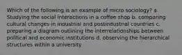 Which of the following is an example of micro sociology? a. Studying the social interactions in a coffee shop b. comparing cultural changes in industrial and postindustrial countries c. preparing a diagram outlining the interrelationships between political and economic institutions d. observing the hierarchical structures within a university