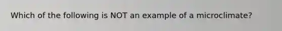 Which of the following is NOT an example of a microclimate?