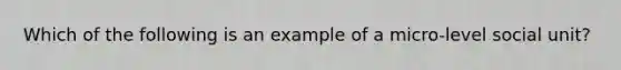 Which of the following is an example of a micro-level social unit?