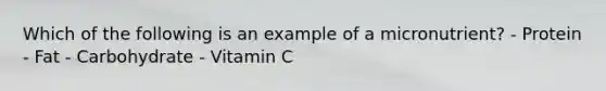 Which of the following is an example of a micronutrient? - Protein - Fat - Carbohydrate - Vitamin C