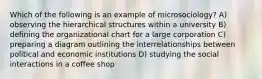 Which of the following is an example of microsociology? A) observing the hierarchical structures within a university B) defining the organizational chart for a large corporation C) preparing a diagram outlining the interrelationships between political and economic institutions D) studying the social interactions in a coffee shop