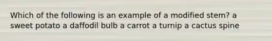 Which of the following is an example of a modified stem? a sweet potato a daffodil bulb a carrot a turnip a cactus spine