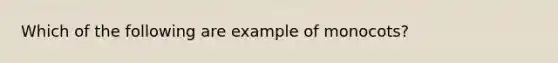 Which of the following are example of monocots?