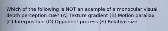 Which of the following is NOT an example of a monocular visual depth perception cue? (A) Texture gradient (B) Motion parallax (C) Interposition (D) Opponent process (E) Relative size