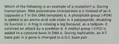 Which of the following is an example of a mutation? a. During transcription, RNA polymerase incorporates a U instead of an A (opposite a T in the DNA template) b. A phosphate group (-PO4) is added to an amino acid side chain in a polypeptide, disabling its function c. A frog is missing a leg because, as a tadpole, it survived an attack by a predator d. A methyl group (-CH3) is added to a cytosine base in DNA e. During replication, an A-T base pair in a gene is changed to a G-C base pair