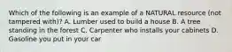 Which of the following is an example of a NATURAL resource (not tampered with)? A. Lumber used to build a house B. A tree standing in the forest C. Carpenter who installs your cabinets D. Gasoline you put in your car