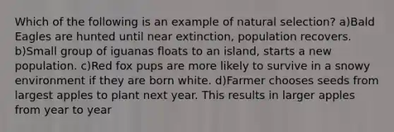 Which of the following is an example of natural selection? a)Bald Eagles are hunted until near extinction, population recovers. b)Small group of iguanas floats to an island, starts a new population. c)Red fox pups are more likely to survive in a snowy environment if they are born white. d)Farmer chooses seeds from largest apples to plant next year. This results in larger apples from year to year