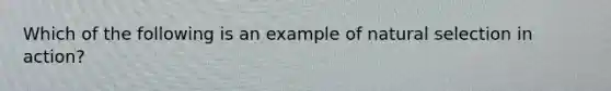 Which of the following is an example of natural selection in action?