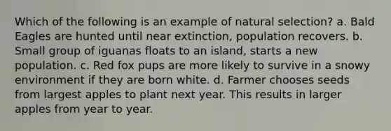 Which of the following is an example of natural selection? a. Bald Eagles are hunted until near extinction, population recovers. b. Small group of iguanas floats to an island, starts a new population. c. Red fox pups are more likely to survive in a snowy environment if they are born white. d. Farmer chooses seeds from largest apples to plant next year. This results in larger apples from year to year.