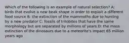 Which of the following is an example of natural selection? A: birds that evolve a new beak shape in order to exploit a different food source B: the extinction of the mammoths due to hunting by a new predator C: fossils of trilobites that have the same morphology but are separated by millions of years D: the mass extinction of the dinosaurs due to a meteorite's impact 65 million years ago