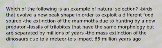 Which of the following is an example of natural selection? -birds that evolve a new beak shape in order to exploit a different food source -the extinction of the mammoths due to hunting by a new predator -fossils of trilobites that have the same morphology but are separated by millions of years -the mass extinction of the dinosaurs due to a meteorite's impact 65 million years ago