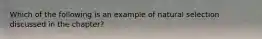 Which of the following is an example of natural selection discussed in the chapter?