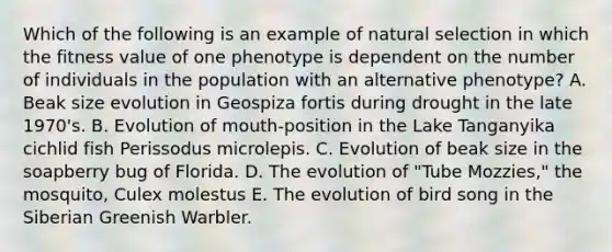 Which of the following is an example of natural selection in which the fitness value of one phenotype is dependent on the number of individuals in the population with an alternative phenotype? A. Beak size evolution in Geospiza fortis during drought in the late 1970's. B. Evolution of mouth-position in the Lake Tanganyika cichlid fish Perissodus microlepis. C. Evolution of beak size in the soapberry bug of Florida. D. The evolution of "Tube Mozzies," the mosquito, Culex molestus E. The evolution of bird song in the Siberian Greenish Warbler.