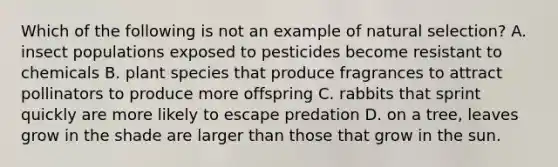 Which of the following is not an example of natural selection? A. insect populations exposed to pesticides become resistant to chemicals B. plant species that produce fragrances to attract pollinators to produce more offspring C. rabbits that sprint quickly are more likely to escape predation D. on a tree, leaves grow in the shade are larger than those that grow in the sun.