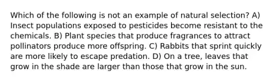 Which of the following is not an example of natural selection? A) Insect populations exposed to pesticides become resistant to the chemicals. B) Plant species that produce fragrances to attract pollinators produce more offspring. C) Rabbits that sprint quickly are more likely to escape predation. D) On a tree, leaves that grow in the shade are larger than those that grow in the sun.