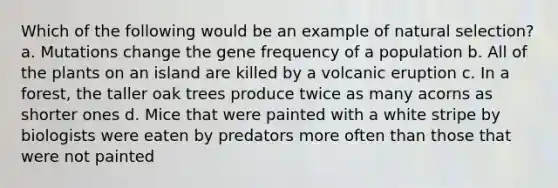 Which of the following would be an example of natural selection? a. Mutations change the gene frequency of a population b. All of the plants on an island are killed by a volcanic eruption c. In a forest, the taller oak trees produce twice as many acorns as shorter ones d. Mice that were painted with a white stripe by biologists were eaten by predators more often than those that were not painted