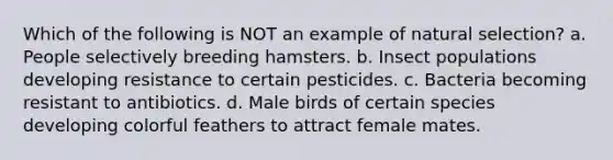 Which of the following is NOT an example of natural selection? a. People selectively breeding hamsters. b. Insect populations developing resistance to certain pesticides. c. Bacteria becoming resistant to antibiotics. d. Male birds of certain species developing colorful feathers to attract female mates.