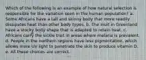 Which of the following is an example of how natural selection is responsible for the variation seen in the human population? a. Some Africans have a tall and skinny body that more readily dissipates heat than other body types. b. The Inuit in Greenland have a stocky body shape that is adapted to retain heat. c. Africans carry the sickle trait in areas where malaria is prevalent. d. People in the northern regions have less pigmentation, which allows more UV light to penetrate the skin to produce vitamin D. e. All these choices are correct.