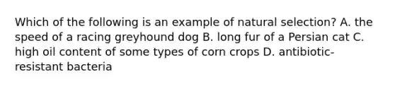 Which of the following is an example of natural selection? A. the speed of a racing greyhound dog B. long fur of a Persian cat C. high oil content of some types of corn crops D. antibiotic-resistant bacteria