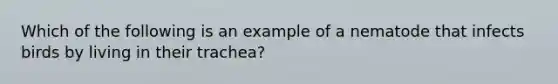 Which of the following is an example of a nematode that infects birds by living in their trachea?