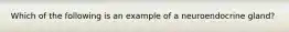 Which of the following is an example of a neuroendocrine gland?