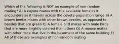 Which of the following is NOT an example of non-random mating? A) A coyote mates with the available females it encounters as it travels across the coyote-population range B) A brown beetle mates with other brown beetles, as opposed to beetles that are green C) A female bird mates with male birds that are more brightly colored than others D) A mouse mates with other mice that live in the basement of the same building E) All of these are examples of non-random mating