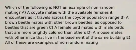 Which of the following is NOT an example of non-random mating? A) A coyote mates with the available females it encounters as it travels across the coyote-population range B) A brown beetle mates with other brown beetles, as opposed to beetles that are green C) A female bird mates with male birds that are more brightly colored than others D) A mouse mates with other mice that live in the basement of the same building E) All of these are examples of non-random mating