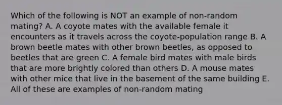 Which of the following is NOT an example of non-random mating? A. A coyote mates with the available female it encounters as it travels across the coyote-population range B. A brown beetle mates with other brown beetles, as opposed to beetles that are green C. A female bird mates with male birds that are more brightly colored than others D. A mouse mates with other mice that live in the basement of the same building E. All of these are examples of non-random mating