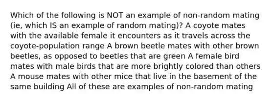 Which of the following is NOT an example of non-random mating (ie, which IS an example of random mating)? A coyote mates with the available female it encounters as it travels across the coyote-population range A brown beetle mates with other brown beetles, as opposed to beetles that are green A female bird mates with male birds that are more brightly colored than others A mouse mates with other mice that live in the basement of the same building All of these are examples of non-random mating