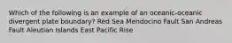 Which of the following is an example of an oceanic-oceanic divergent plate boundary? Red Sea Mendocino Fault San Andreas Fault Aleutian Islands East Pacific Rise