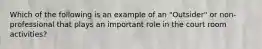 Which of the following is an example of an "Outsider" or non-professional that plays an important role in the court room activities?