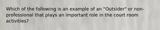 Which of the following is an example of an "Outsider" or non-professional that plays an important role in the court room activities?