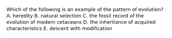 Which of the following is an example of the pattern of evolution? A. heredity B. natural selection C. the fossil record of the evolution of modern cetaceans D. the inheritance of acquired characteristics E. descent with modification