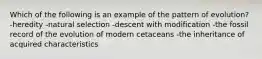 Which of the following is an example of the pattern of evolution? -heredity -natural selection -descent with modification -the fossil record of the evolution of modern cetaceans -the inheritance of acquired characteristics