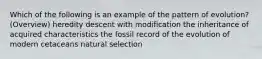 Which of the following is an example of the pattern of evolution? (Overview) heredity descent with modification the inheritance of acquired characteristics the fossil record of the evolution of modern cetaceans natural selection