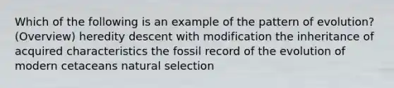 Which of the following is an example of the pattern of evolution? (Overview) heredity descent with modification the inheritance of acquired characteristics the fossil record of the evolution of modern cetaceans natural selection