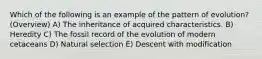 Which of the following is an example of the pattern of evolution? (Overview) A) The inheritance of acquired characteristics. B) Heredity C) The fossil record of the evolution of modern cetaceans D) Natural selection E) Descent with modification