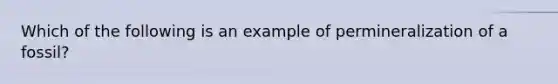 Which of the following is an example of permineralization of a fossil?