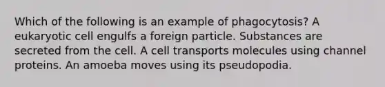 Which of the following is an example of phagocytosis? A eukaryotic cell engulfs a foreign particle. Substances are secreted from the cell. A cell transports molecules using channel proteins. An amoeba moves using its pseudopodia.