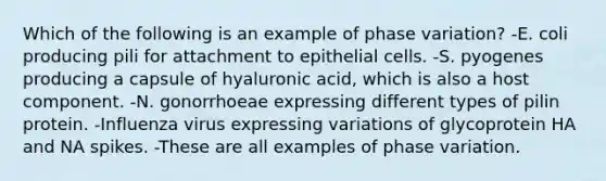 Which of the following is an example of phase variation? -E. coli producing pili for attachment to epithelial cells. -S. pyogenes producing a capsule of hyaluronic acid, which is also a host component. -N. gonorrhoeae expressing different types of pilin protein. -Influenza virus expressing variations of glycoprotein HA and NA spikes. -These are all examples of phase variation.