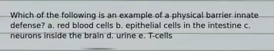 Which of the following is an example of a physical barrier innate defense? a. red blood cells b. epithelial cells in the intestine c. neurons inside the brain d. urine e. T-cells