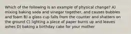 Which of the following is an example of physical change? A) mixing baking soda and vinegar together, and causes bubbles and foam B) a glass cup falls from the counter and shatters on the ground C) lighting a piece of paper burns up and leaves ashes D) baking a birthday cake for your mother