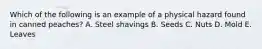 Which of the following is an example of a physical hazard found in canned​ peaches? A. Steel shavings B. Seeds C. Nuts D. Mold E. Leaves