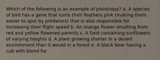 Which of the following is an example of pleiotropy? a. A species of bird has a gene that turns their feathers pink (making them easier to spot by predators) that is also responsible for increasing their flight speed b. An orange flower resulting from red and yellow flowered parents c. A field containing sunflowers of varying heights d. A plant growing shorter in a desert environment than it would in a forest e. A black bear having a cub with blond fur