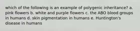 which of the following is an example of polygenic inheritance? a. pink flowers b. white and purple flowers c. the ABO <a href='https://www.questionai.com/knowledge/kYZPOX2Y3u-blood-groups' class='anchor-knowledge'>blood groups</a> in humans d. skin pigmentation in humans e. Huntington's disease in humans