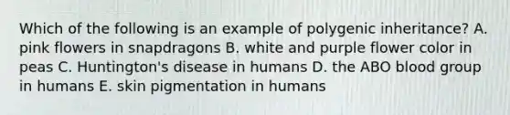 Which of the following is an example of polygenic inheritance? A. pink flowers in snapdragons B. white and purple flower color in peas C. Huntington's disease in humans D. the ABO blood group in humans E. skin pigmentation in humans